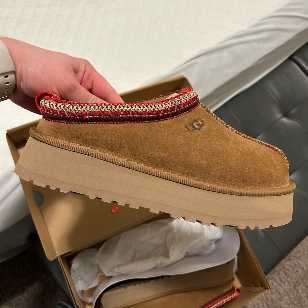 Brand New Tazz Uggs